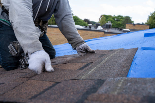 Trusted Polk City, IA Roofing Contractor Experts
